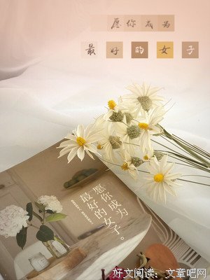 愿你成为最好的女子读后感锦集