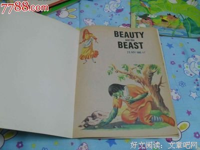 《别告诉我你懂PPT：全新升级版》读后感1000字