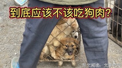 《噱头大王》观后感摘抄