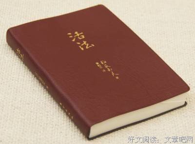 喵得乐读后感精选