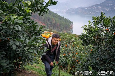 关于独善其身的座右铭