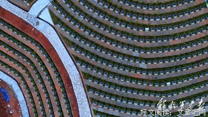 《诺尔曼·白求恩》经典观后感有感