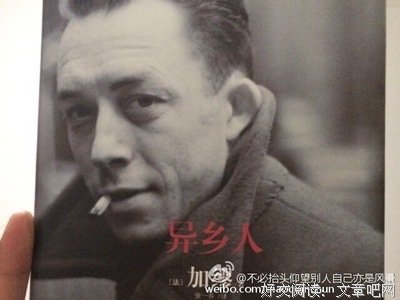 我明白你会来，所以我等读后感100字