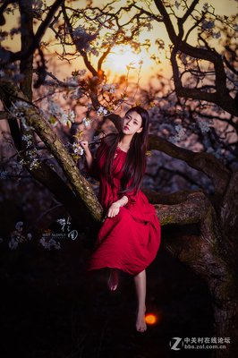 须臾凝香 落红无处的句子