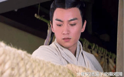 昭宣中兴读后感摘抄
