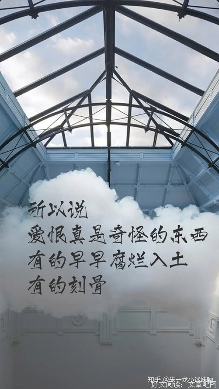摘录的句子