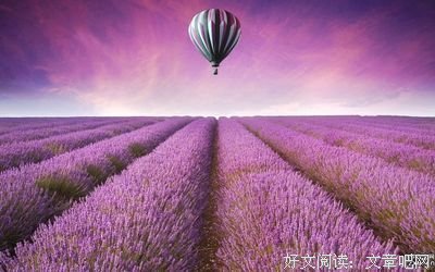 好想告诉你句子大全