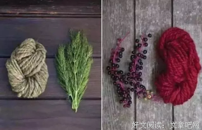 草木染的句子