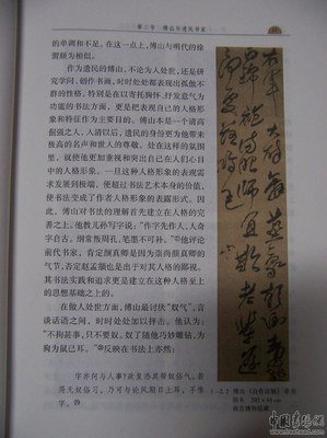 《写给大家的中国书法史》读后感100字
