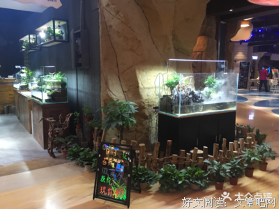 秋沐流苏的名言名句