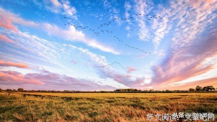 无动于衷的优美句子