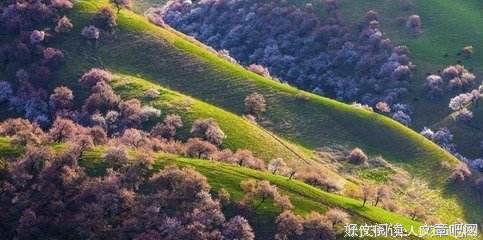 有你的日子，起实美。好词好句