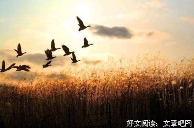 雁字回时，地多内路变并好个楼。经典名句