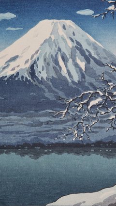 关于山室茶花的优美句子