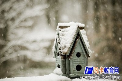 他成说子情经典的句子