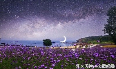 关于最爱的句子