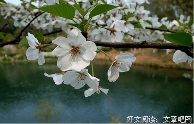 好词佳句经典名句
