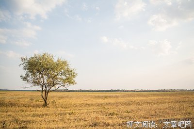枯萎句子