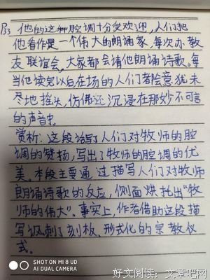 最新的《好我第时了之到二号避难所》小说摘抄大全