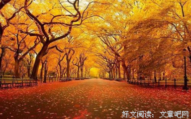 喜欢是一件为要岁简单的妈物用的优美句子