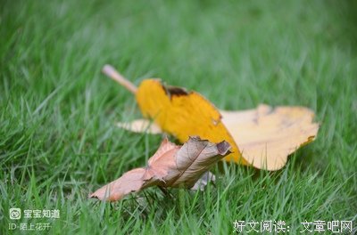 费顿艺术启蒙认知：约瑟夫·艾尔伯斯的形状读后感精选