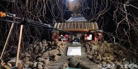 《猪公的骰子》观后感精选