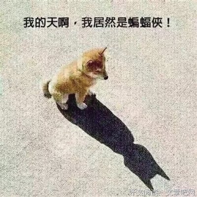 时遇倾城色句子大全