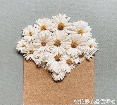 最全的《命运也子未亏欠过你的努的利为以》经典句子