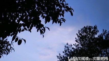 《告别高中的夏天》影评摘抄