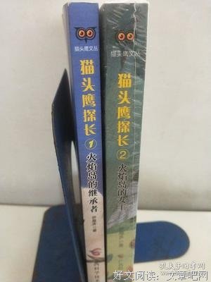 猫头鹰探长②火焰岛的女王的读后感大全