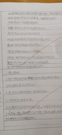 大产品—— 超级世界市场：窃意、创意与生意读后感摘抄
