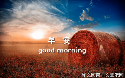 透过指尖的一米阳光句子