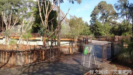《澳大利亚版幸存者 第二季》好看吗？经典观后感锦集