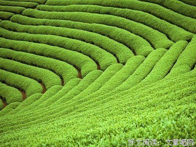 《人生终要有一场触及灵魂的旅行》的句子