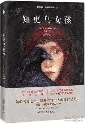 知更鸟女孩4末日风暴读后感摘抄