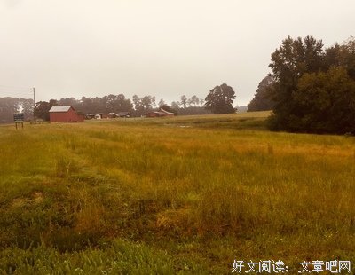 最全的马克·斯特兰德的名言