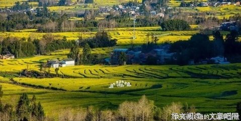 关于烟雨落ジ陌上尘精彩语录