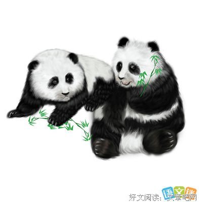 最全的《说部之乱》好段摘抄