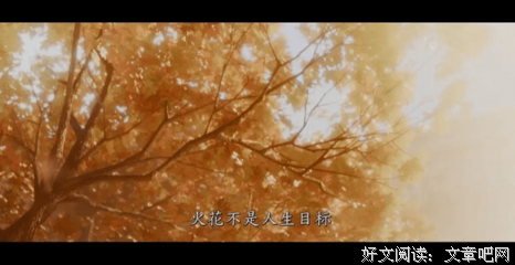 最全的《豆瓣影评》好段摘抄