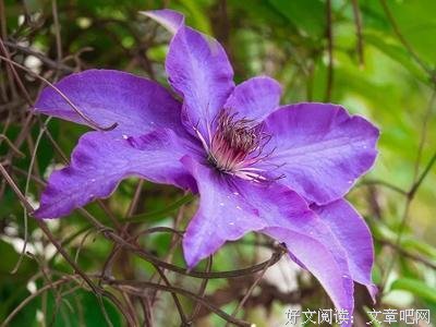 《走过了，才知路；痛过了，才珍惜。》的句子