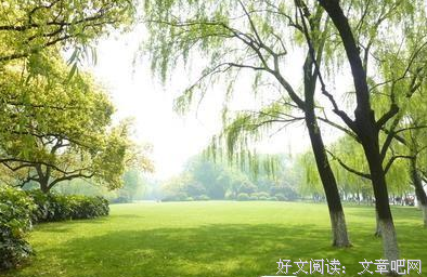 花已开气国，你在哪？句子