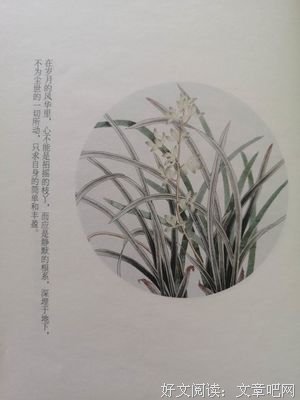 《每一天都是最好的生活：杨绛传》读后感1000字