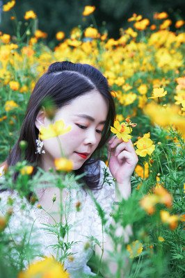 《迟开的向日葵》经典观后感有感