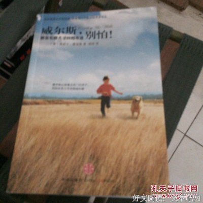《威尔斯，别怕！被金毛猎犬寻回的奇迹》读后感精选