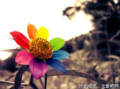 管利家时大界发小-德鲁克优美的句子
