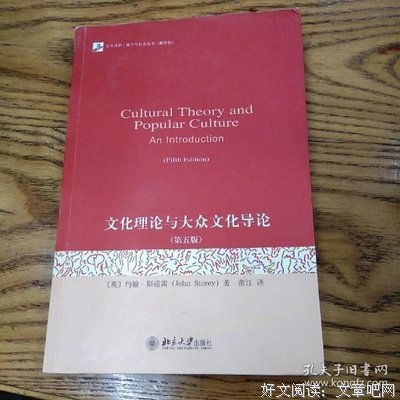 文化理论与大众文化导论读后感摘抄