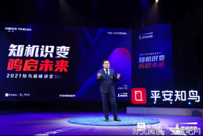 《无止之境：中国平安成长之路》读后感摘抄