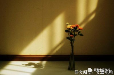 手机摄影大全读后感100字