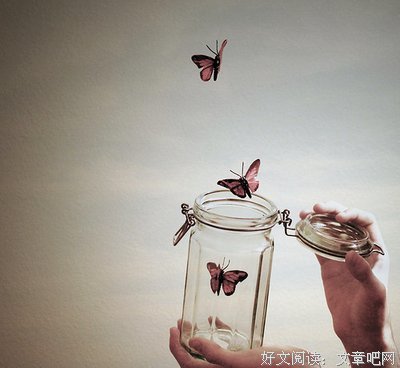 蝴蝶的尖叫读后感摘抄