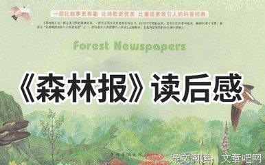 飞禽记读后感精选